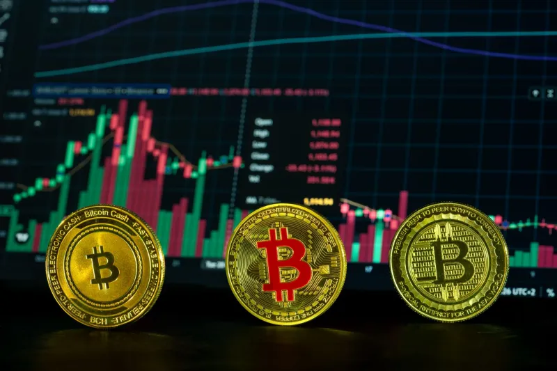 Don't Trust the Pitch Deck: A No-Nonsense Checklist for Vetting a Decentralized Betting Protocol Before You Deposit